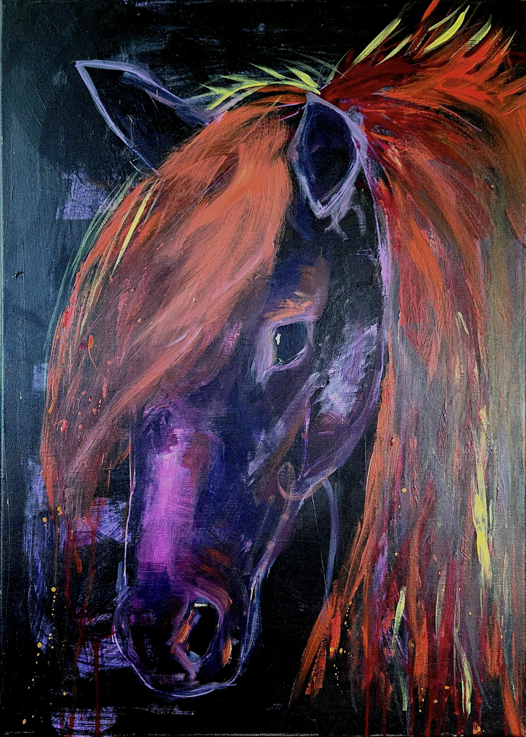 Dunkel hest