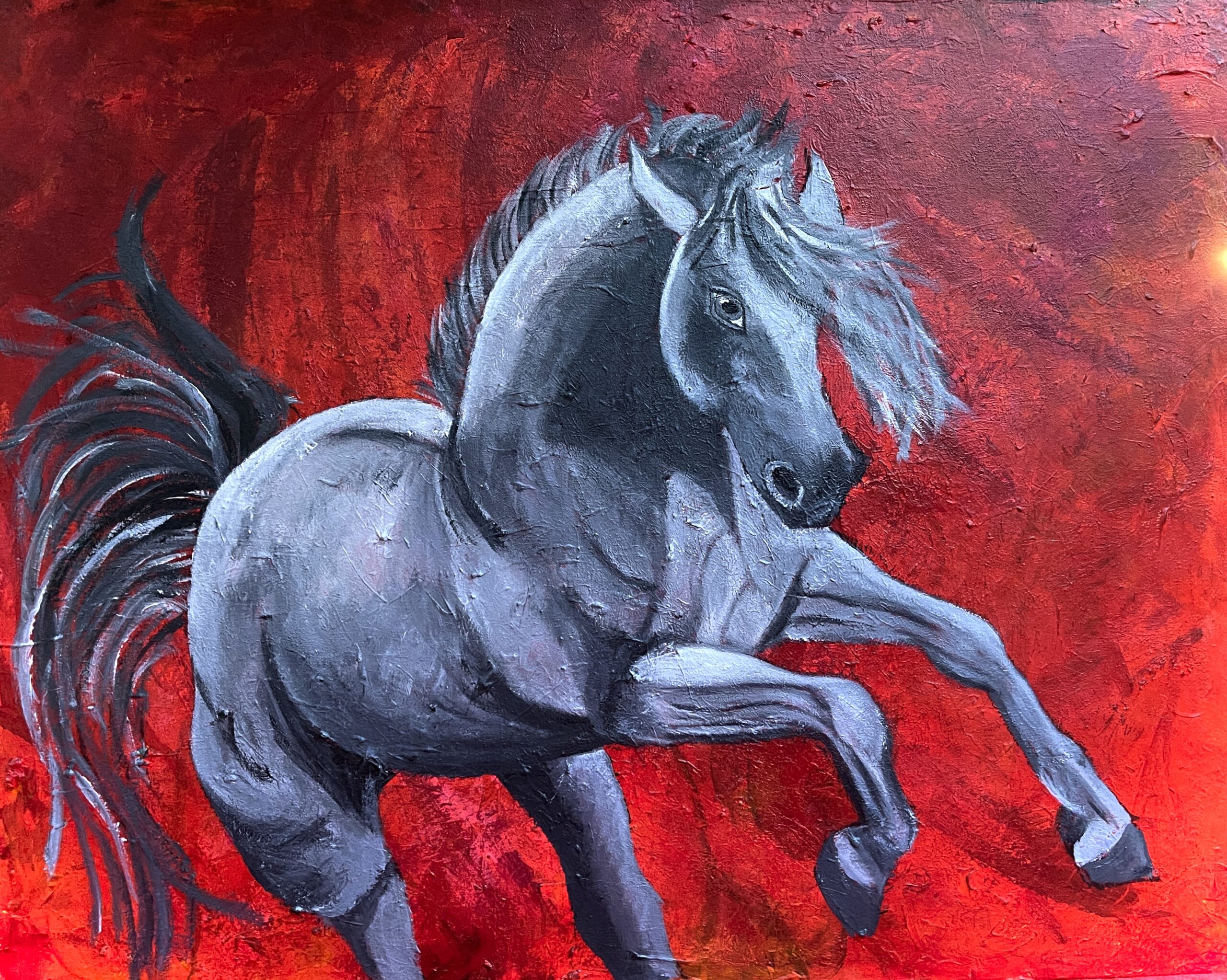 Grå hest i galop